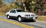 1985 Ford Thunderbird FILA Edition